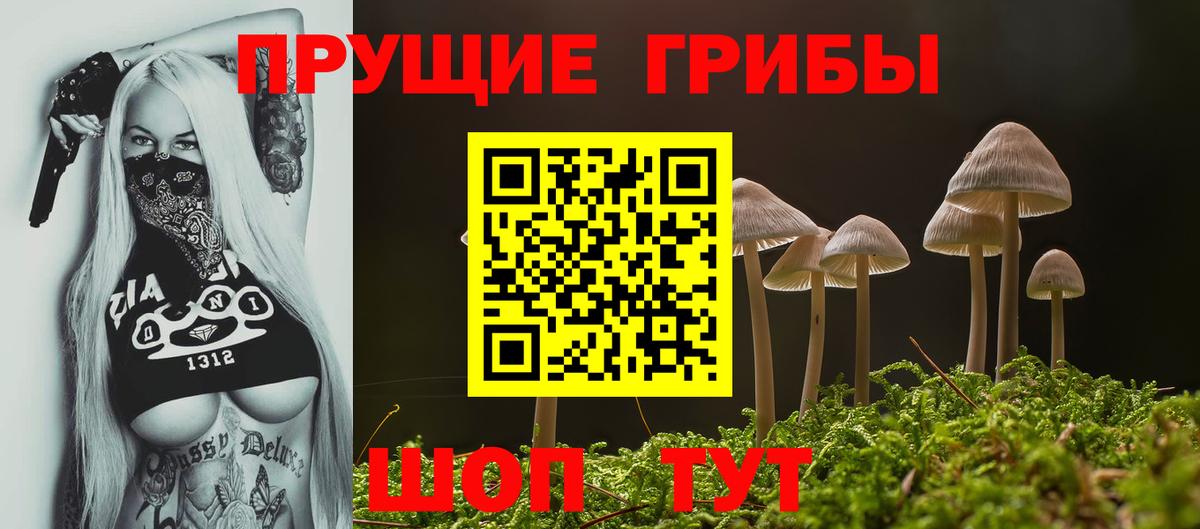 Красноперекопск  цены наркотик  Вход с VPN  Галлюциногенные грибы GOLDEN TEACHER 